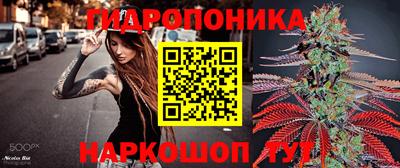 стаф Ипатово