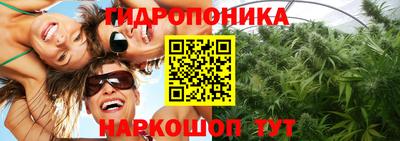 jwh Ирбит
