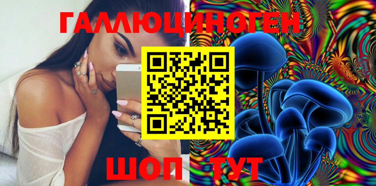 Галлюциногенные грибы Psilocybine cubensis  Псилоцибиновые грибы Cubensis  Лесной  Вход с VPN 